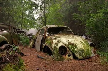 Legnagyobb Car junk yard a világon (fotók)