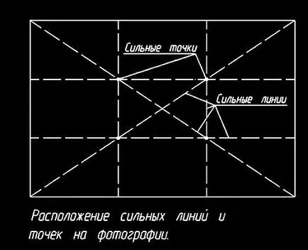 2 alapképzés Andrew Morkovkina