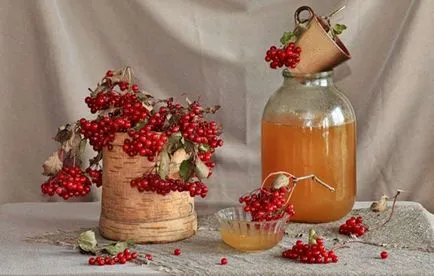 Лечение на хемороиди rowanberry сок