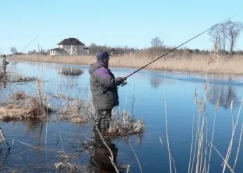 pescuitul Roach în primăvara devreme