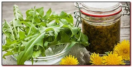 Officinale Глухарче за кожата и косата, тайните на младостта и красотата