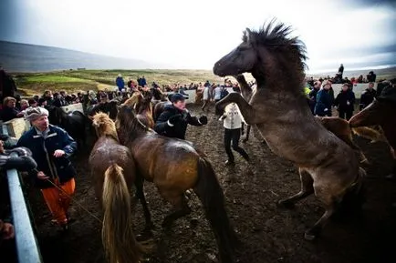 Viking Lovak - évezreddel később, semmi sem változott! Fotokto