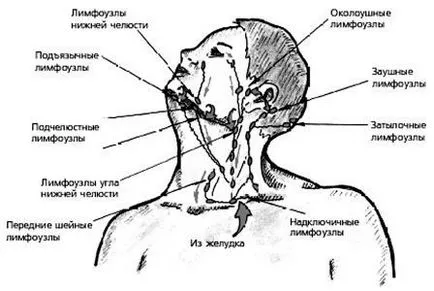 Лимфните възли под мишниците - възпаление, когато лимфните възли под мишниците