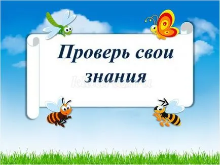 Лято викторина с отговори и презентация за начално училище учениците