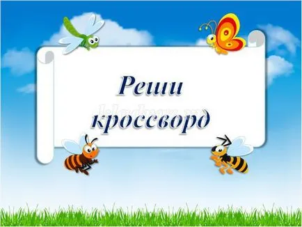 Лято викторина с отговори и презентация за начално училище учениците