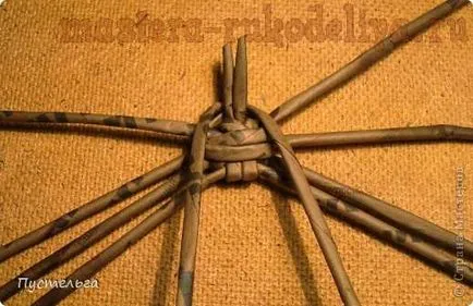 А майсторски клас в тъкане вестник паяк Araneus