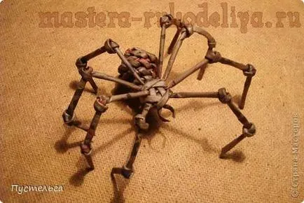 А майсторски клас в тъкане вестник паяк Araneus