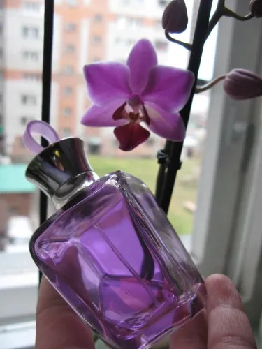 A kedvenc parfüm vélemények