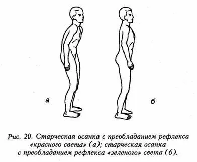 Centrul de instruire Moscova „cunoștințe de sinteză“ centru de formare - cum să păstreze corpul tânăr