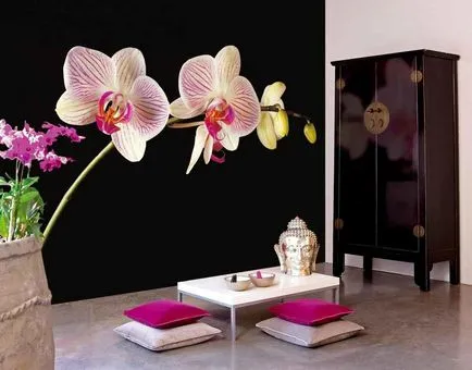 Предистория с орхидеи стена снимка Elysium в интериора, със снимка в кухнята, 3D, нетъкани, проектиране,