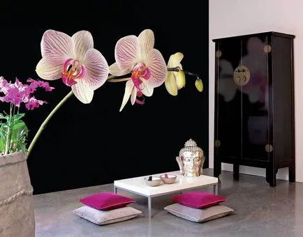 Tapeta orchideával fotó a belsejében nem szőtt, Elysium a konyha, egy 3D-s minta, design