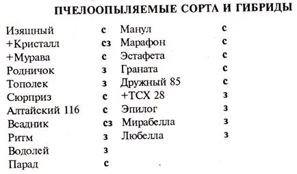 Описание популярните сортове краставици