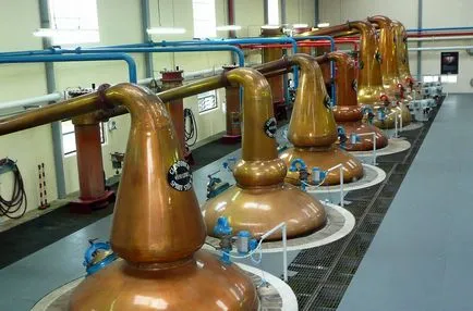 Descrierea procesului de distilare - obținerea Viskova distilat