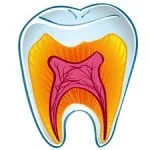 Caracteristici și caracteristici ale dentare piese de mână