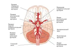 Az akut stroke jelek, tünetek elsősegély (CVA)