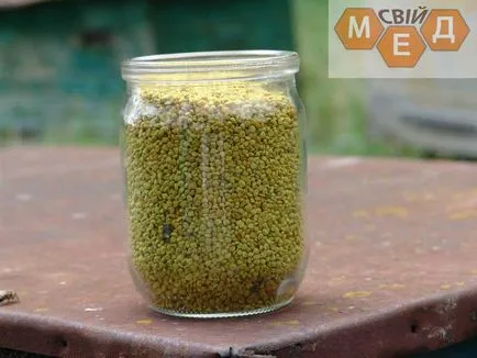 Bee pollen (virág) kezelés alkalmazása tárolás