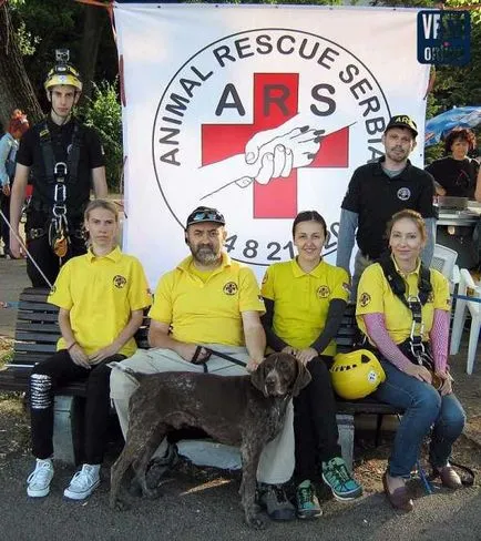 Badi de câine și de salvare a animalelor de serviciu de salvare a animalelor Srbija, jugoslovo