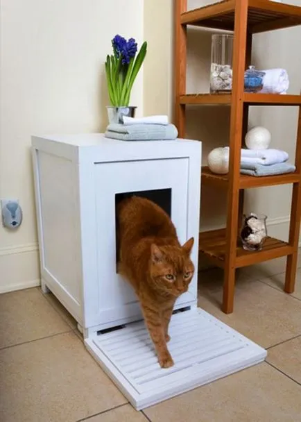 Нека поговорим за това къде да се скрие пикантен тоалетна домашен любимец котка, че да не се развалят интериора