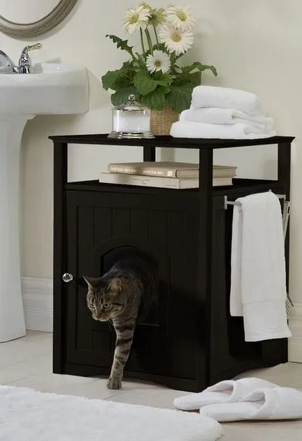 Hai să vorbim despre cazul în care pentru a ascunde picant pisica toaletă pentru animale de companie, că nu strica interior