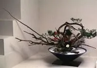 Szabályok kidolgozása során a ikebana