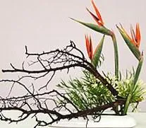 Szabályok kidolgozása során a ikebana