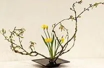 Szabályok kidolgozása során a ikebana