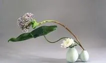 Szabályok kidolgozása során a ikebana