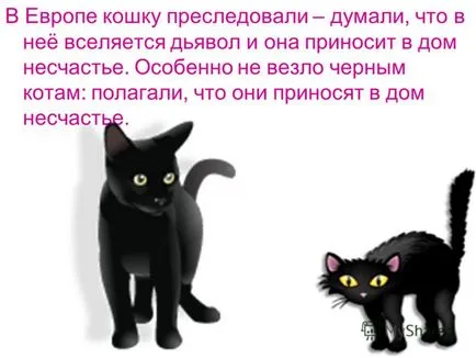 Представяне на историята - тест за котки свършената работа МР начална учителка -