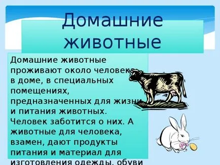 Представяне - загадката на домашни любимци - първични класове, презентации