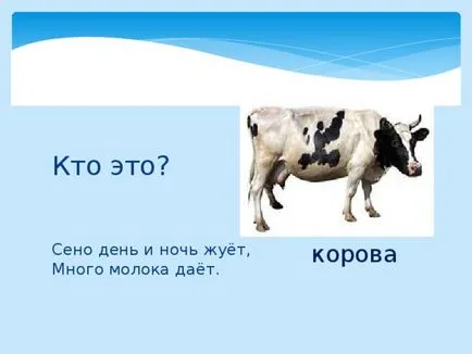 Представяне - загадката на домашни любимци - първични класове, презентации