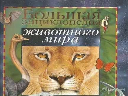 Презентация за това, защо имате нужда от енциклопедия клас проект за учениците от 7-