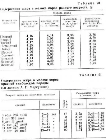 Продуктивните качества на едрия рогат добитък - Всичко за животновъдство