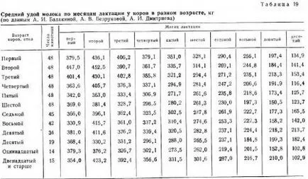 Продуктивните качества на едрия рогат добитък - Всичко за животновъдство