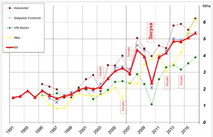 Cukorrépa-termelés Magyarországon piackutatás