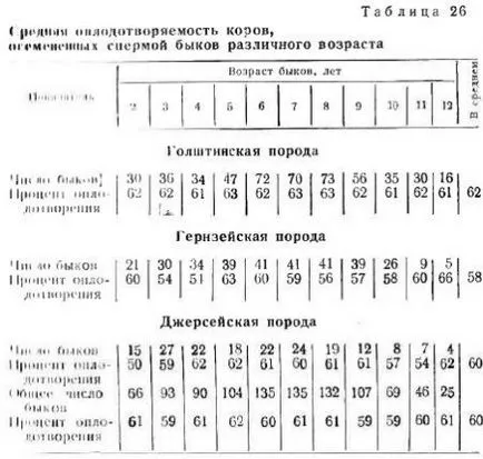 calități productive de bovine - toate despre creșterea animalelor