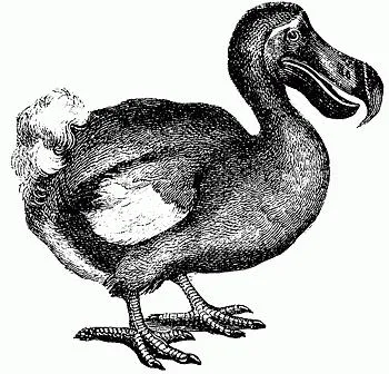 Dodo madár története megsemmisítő