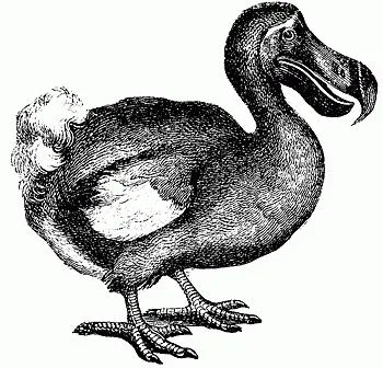 Dodo история птица на изтребление