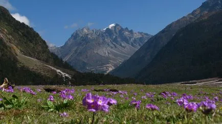 Călătorie spre Himalaya, în mai 12 sau 18 de zile în India