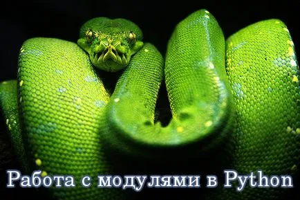 Lucrul cu module în Python