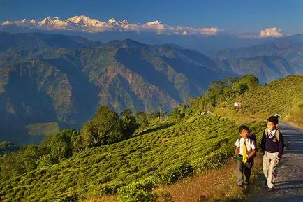 Călătorie spre Himalaya, în mai 12 sau 18 de zile în India