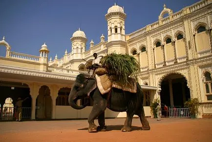 Călătorie spre Himalaya, în mai 12 sau 18 de zile în India