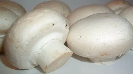 Rețete pentru ciuperci într-o tigaie într-un program accelerat