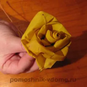 Rózsák juhar levelek a kezével, egy asszisztens a házban