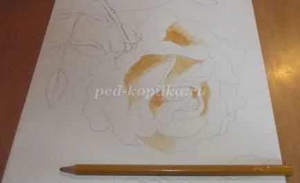 Rajz egy rózsa színes ceruzák