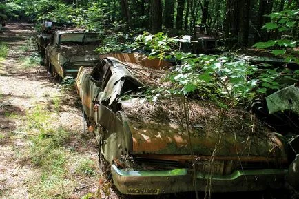 cel mai mare cimitir din lume de mașini vechi americane