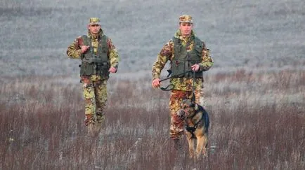 Сайтове НАСА петоъгълник и детето хакнат