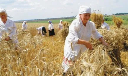 A falusiak és a falusiak - ki kicsoda, az ételt a falu