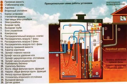 Tapas septică principiul său de lucru și structura