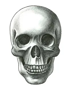 Как да се направи боя череп и кости на черепа, етапи човек молив