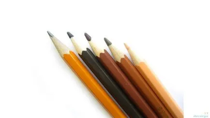 Hogyan kell felhívni a orrát színes ceruzák szakaszokban